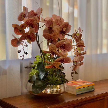 Pousada Jardins Santarém Eksteriør bilde